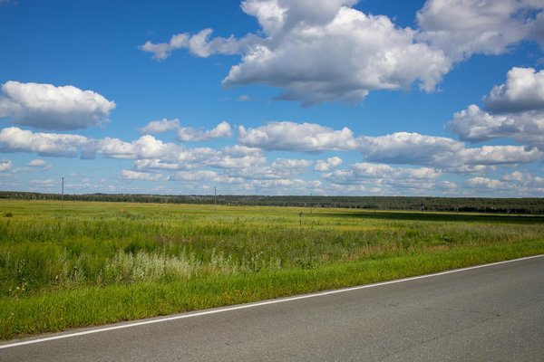 Nettoyant voiture : guide et meilleures astuces pour un nettoyage parfait